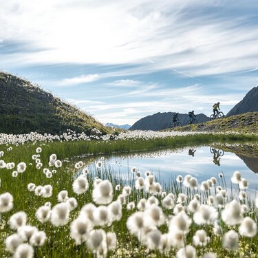 7195_chavra_trail_filip_zuan.jpg