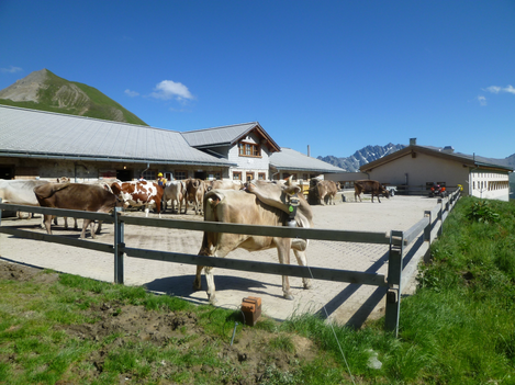 Bild | © Tourismusverband Paznaun - Ischgl
