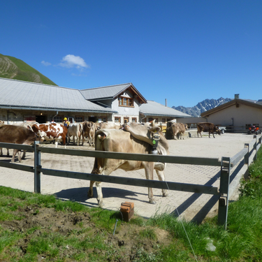 Bild | © Tourismusverband Paznaun - Ischgl