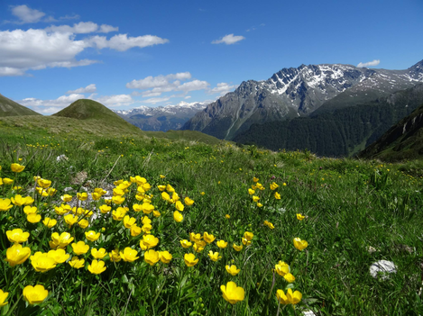 Bild | © Tourismusverband Paznaun - Ischgl