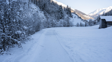 Mittelschule - Nederle | © Bernhard Gruber Photography