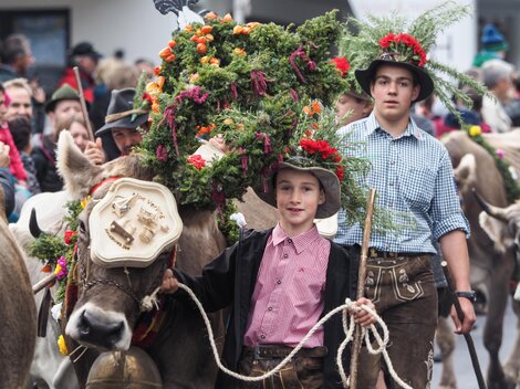 Eine festliche Prozession mit geschmückten Kühen und Kindern in traditioneller Tracht. Die Tiere tragen bunte Blumenkränze und der Hintergrund zeigt eine große Menge Zuschauer.