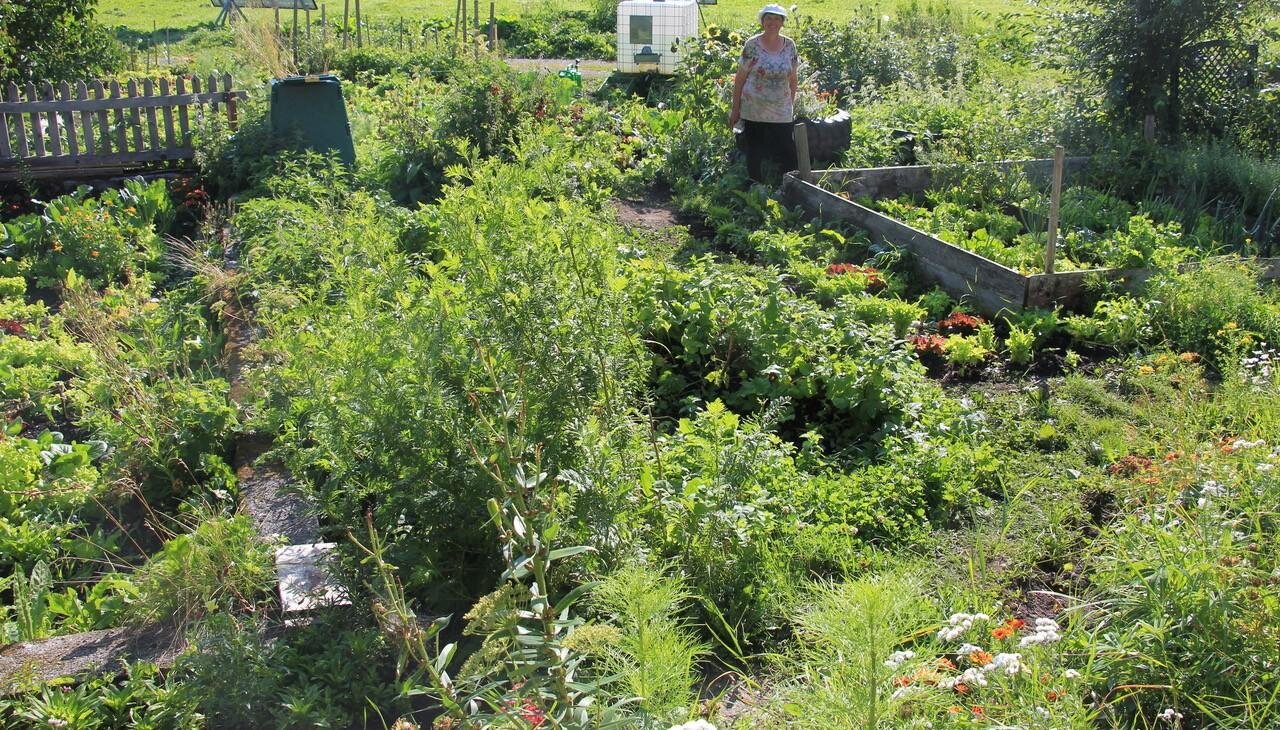 Kräutergarten Kräutergarten