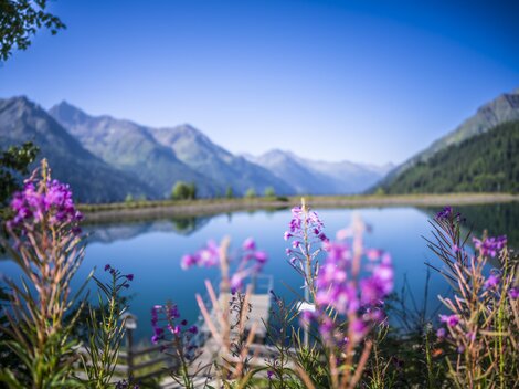 A family is hiking together on a sunny day. They stand on a narrow path, surrounded by mountains and flowing water.