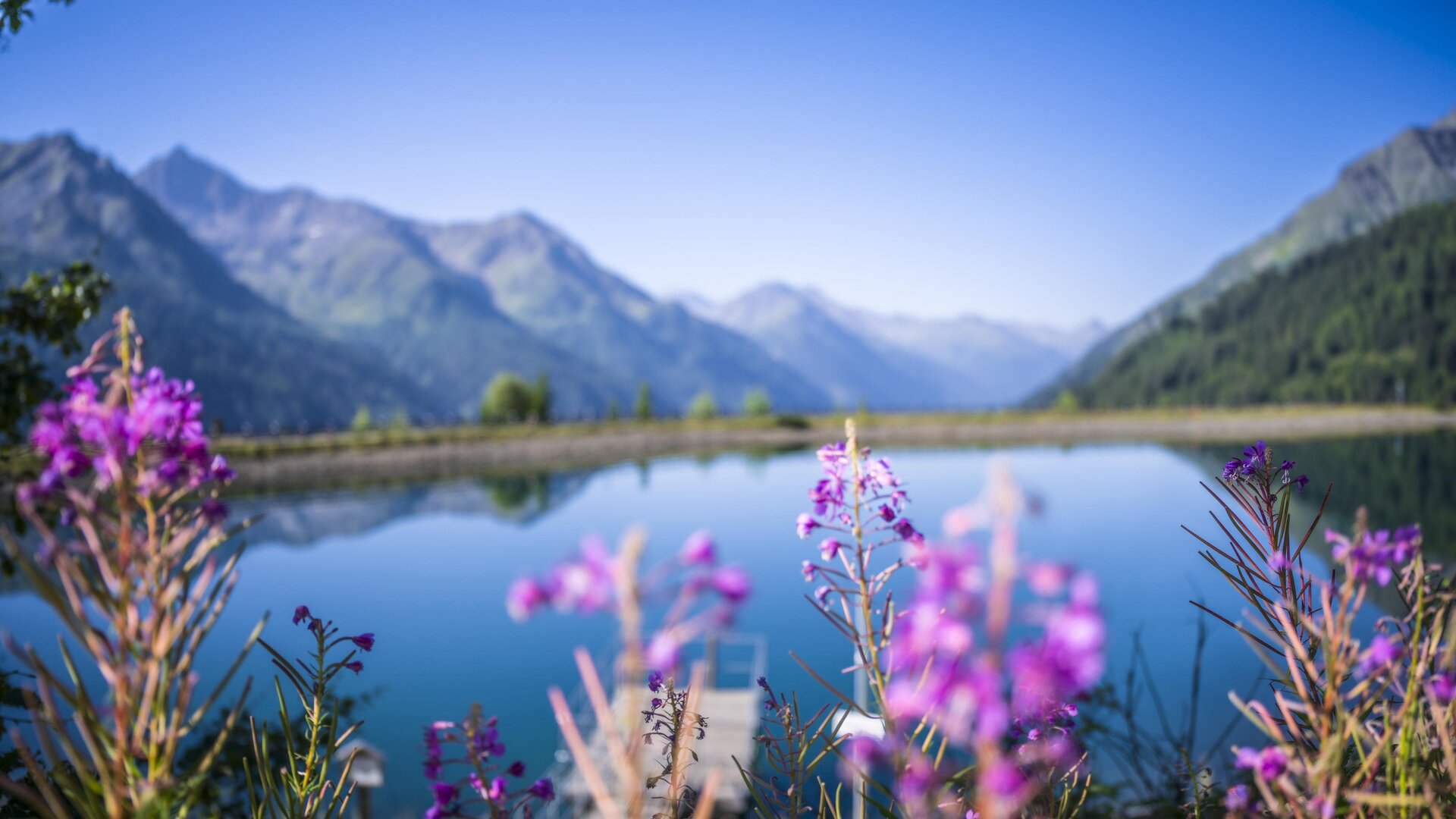 A family is hiking together on a sunny day. They stand on a narrow path, surrounded by mountains and flowing water.