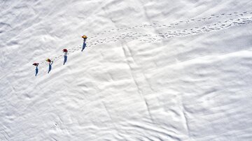 Vier Personen wandern über eine unberührte Schneelandschaft. Ihre Fußspuren sind deutlich im weißen Schnee zu sehen.