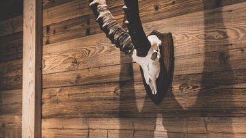 Eine rustikale Wand aus Holz mit einem Geweihkopf. Darunter stehen mehrere Weinflaschen auf einem Regal.