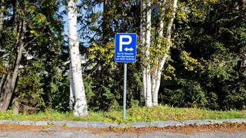 Ein Parkplatzschild mit einem Piktogramm und Richtungsangabe. Umgeben von Bäumen in einer ländlichen Umgebung.