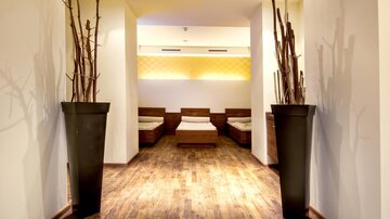 An elegant room with wooden flooring and minimalist décor.  
Large plant pots with branches stand on both sides of the entrance.