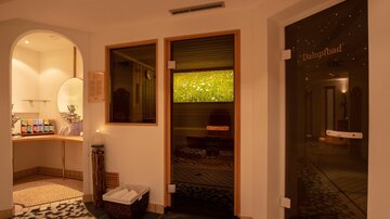 biosauna-steambath