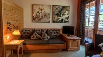 A cozy living room with a sofa and a television. Artworks hang on the walls, and large windows let in plenty of light.